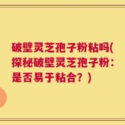 破壁灵芝孢子粉粘吗(探秘破壁灵芝孢子粉：是否易于粘合？)