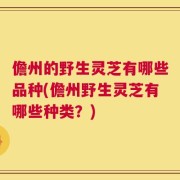 儋州的野生灵芝有哪些品种(儋州野生灵芝有哪些种类？)