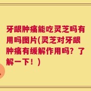 牙龈肿痛能吃灵芝吗有用吗图片(灵芝对牙龈肿痛有缓解作用吗？了解一下！)