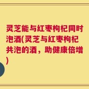 灵芝能与红枣枸杞同时泡酒(灵芝与红枣枸杞共泡的酒，助健康倍增)