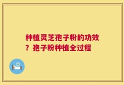 种植灵芝孢子粉的功效？孢子粉种植全过程