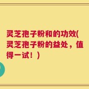 灵芝孢子粉和的功效(灵芝孢子粉的益处，值得一试！)