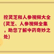 挖灵芝和人参视频大全(灵芝、人参视频全集，助您了解中药奇妙之处)