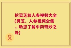 挖灵芝和人参视频大全(灵芝、人参视频全集，助您了解中药奇妙之处)