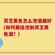 灵芝黑色怎么泡酒最好(如何最佳泡制灵芝黑色酒？)