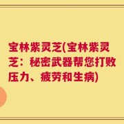 宝林紫灵芝(宝林紫灵芝：秘密武器帮您打败压力、疲劳和生病)
