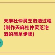 天麻杜仲灵芝泡酒过程(制作天麻杜仲灵芝泡酒的简单步骤)