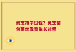 灵芝孢子过程？灵芝菌包菌丝发育生长过程