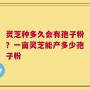 灵芝种多久会有孢子粉？一亩灵芝能产多少孢子粉