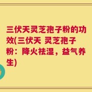 三伏天灵芝孢子粉的功效(三伏天 灵芝孢子粉：降火祛湿，益气养生)