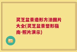 灵芝盆景造形方法图片大全(灵芝盆景塑形指南-照片演示)