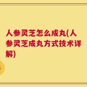 人参灵芝怎么成丸(人参灵芝成丸方式技术详解)