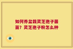 如何养盆栽灵芝孢子菌苗？灵芝孢子粉怎么种