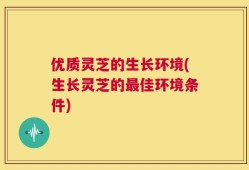 优质灵芝的生长环境(生长灵芝的最佳环境条件)