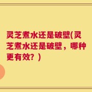 灵芝煮水还是破壁(灵芝煮水还是破壁，哪种更有效？)