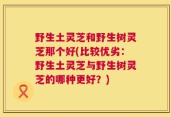 野生土灵芝和野生树灵芝那个好(比较优劣：野生土灵芝与野生树灵芝的哪种更好？)