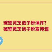 破壁灵芝孢子粉课件？破壁灵芝孢子粉宣传语
