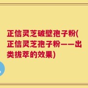 正信灵芝破壁孢子粉(正信灵芝孢子粉——出类拔萃的效果)