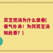 灵芝煲汤为什么很香(香气扑鼻！为何灵芝汤如此香？)