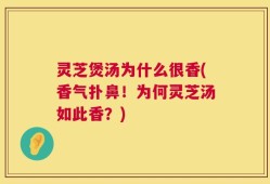 灵芝煲汤为什么很香(香气扑鼻！为何灵芝汤如此香？)