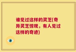 谁见过这样的灵芝(奇异灵芝惊现，有人见过这样的奇迹)