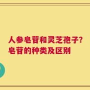 人参皂苷和灵芝孢子？皂苷的种类及区别