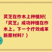 灵芝在柞木上种植好(「灵芝」成功种植在柞木上，下一个疗效或革新原材料？)