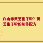 白山赤灵芝孢子粉？灵芝孢子粉的制作配方