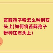 苔藓孢子粉怎么种到石头上(如何将苔藓孢子粉种在石头上)