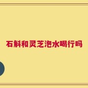 石斛和灵芝泡水喝行吗