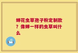蝉花虫草孢子粉定制款？像蝉一样的虫草叫什么