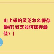 山上采的灵芝怎么保存最好(灵芝如何保存最佳？)