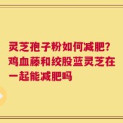 灵芝孢子粉如何减肥？鸡血藤和绞股蓝灵芝在一起能减肥吗