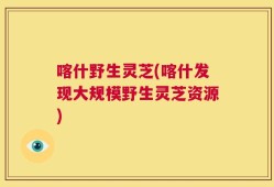 喀什野生灵芝(喀什发现大规模野生灵芝资源)
