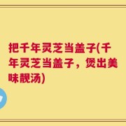 把千年灵芝当盖子(千年灵芝当盖子，煲出美味靓汤)