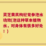 灵芝黄芪枸杞党参泡水功效(泡这种草本植物水，对身体有很多好处！)