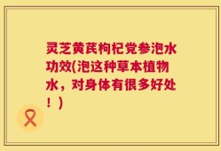 灵芝黄芪枸杞党参泡水功效(泡这种草本植物水，对身体有很多好处！)