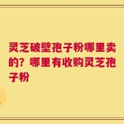 灵芝破壁孢子粉哪里卖的？哪里有收购灵芝孢子粉
