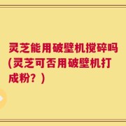 灵芝能用破壁机搅碎吗(灵芝可否用破壁机打成粉？)