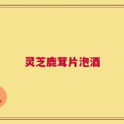 灵芝鹿茸片泡酒