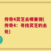 传奇4灵芝去哪里得(传奇4：寻找灵芝的去处)