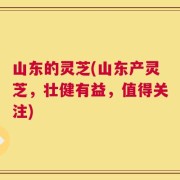 山东的灵芝(山东产灵芝，壮健有益，值得关注)