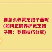 要怎么养灵芝孢子菌呢(如何正确养护灵芝孢子菌：养殖技巧分享)
