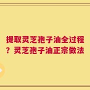 提取灵芝孢子油全过程？灵芝孢子油正宗做法
