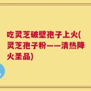 吃灵芝破壁孢子上火(灵芝孢子粉——清热降火圣品)