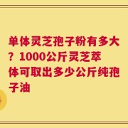 单体灵芝孢子粉有多大？1000公斤灵芝萃体可取出多少公斤纯孢子油