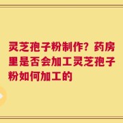 灵芝孢子粉制作？药房里是否会加工灵芝孢子粉如何加工的