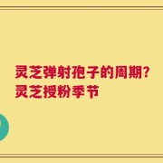 灵芝弹射孢子的周期？灵芝授粉季节