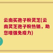 云南买孢子粉灵芝(云南灵芝孢子粉热销，助您增强免疫力)