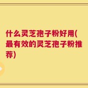 什么灵芝孢子粉好用(最有效的灵芝孢子粉推荐)